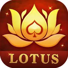 play rummy circle app download download